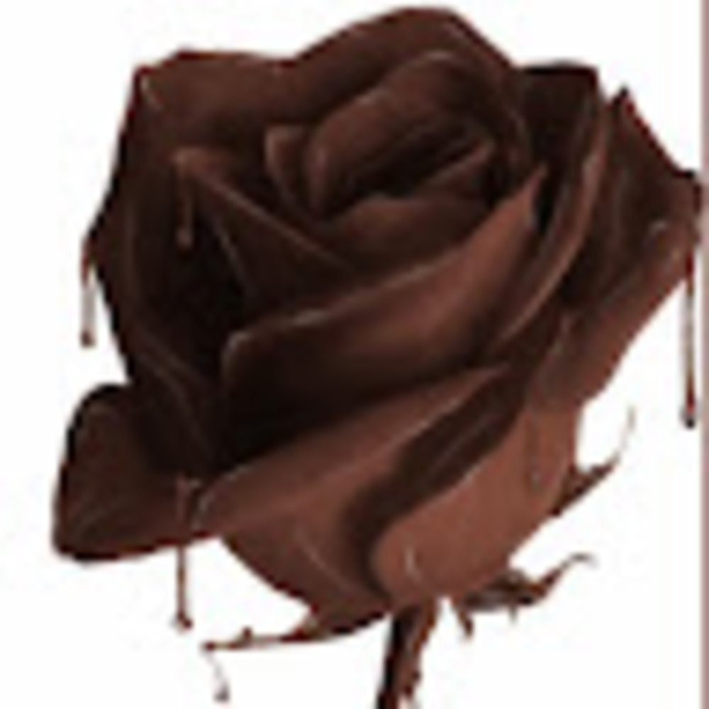 Meet your Posher, Tori